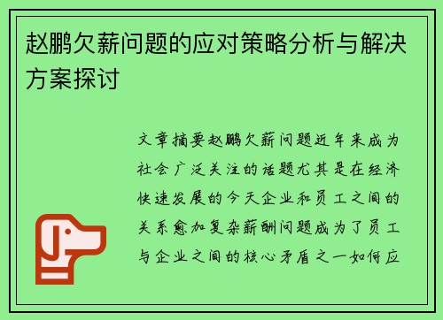 赵鹏欠薪问题的应对策略分析与解决方案探讨